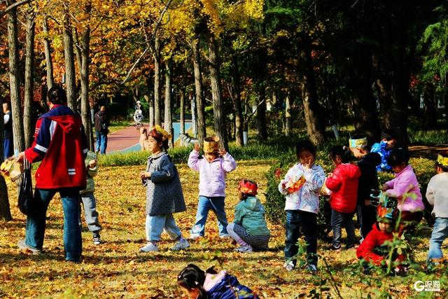 秋染双珠：斑斓叶色与湖光闲情