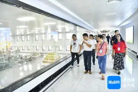 海南洋浦的“自贸港建设加速度”：平常两年建好的工厂半年就建成图片