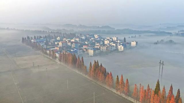 今日图集丨雾锁长江村：常宁的另一面，从晨雾开始苏醒