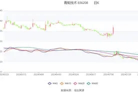 青矩技术：2024年上半年净利润6532.89万元 同比增长1.51%图片