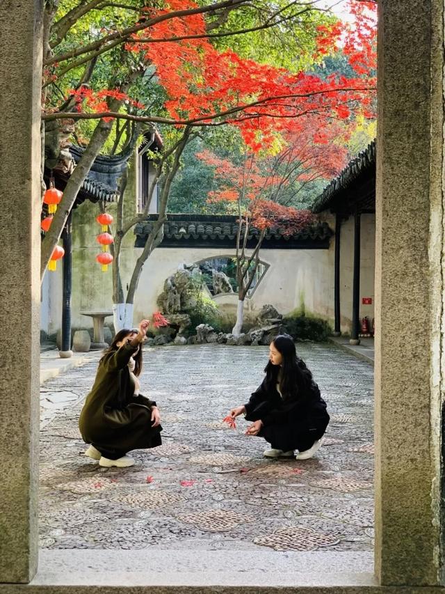 周末去打卡丨红了！吴江追“枫”宝典请收藏