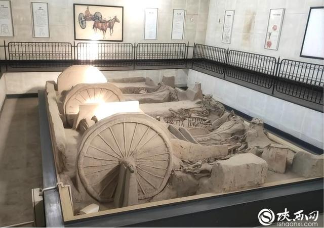 一周一个博物馆丨3000多年前的“车”长啥样？