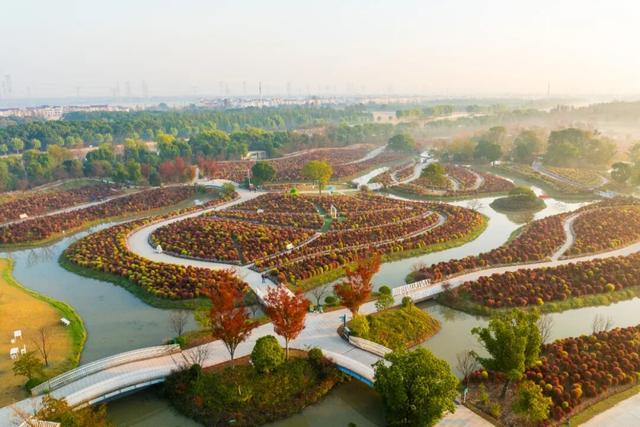 现在的金山是什么颜色？答案藏在这片…