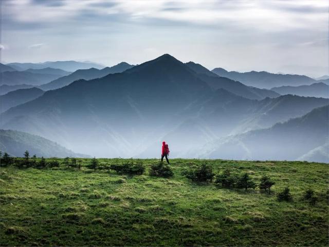 “山野产业”不能野蛮生长