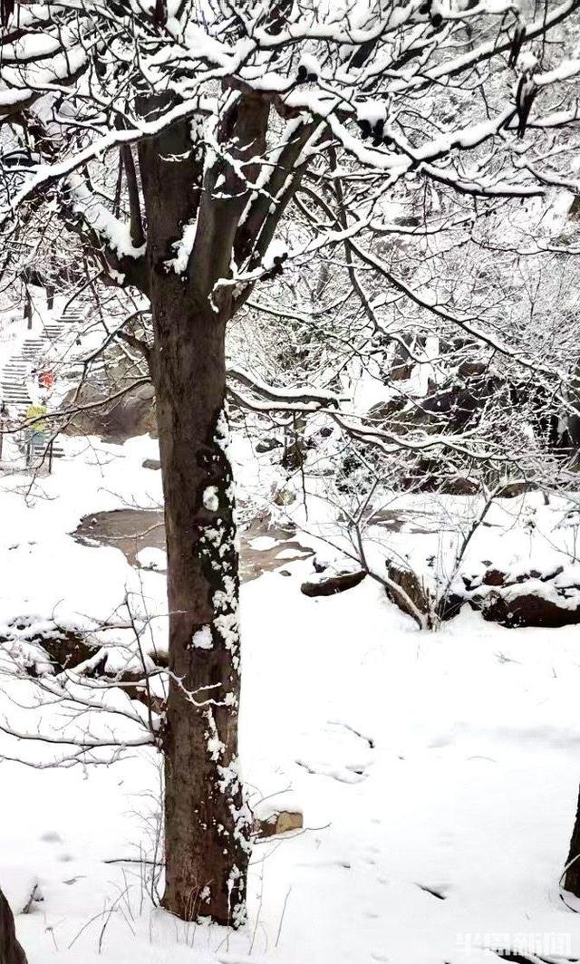 春雪润崂山，太清入画来