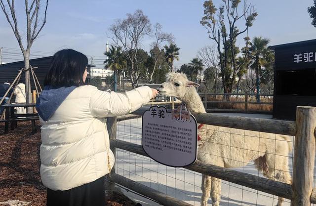 一湖碧水焕新生 “产水融合”释放生态红利