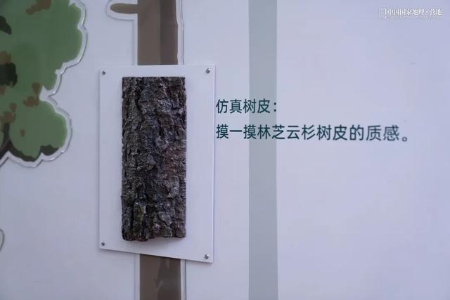 波密零碳自然驿站矩阵落成