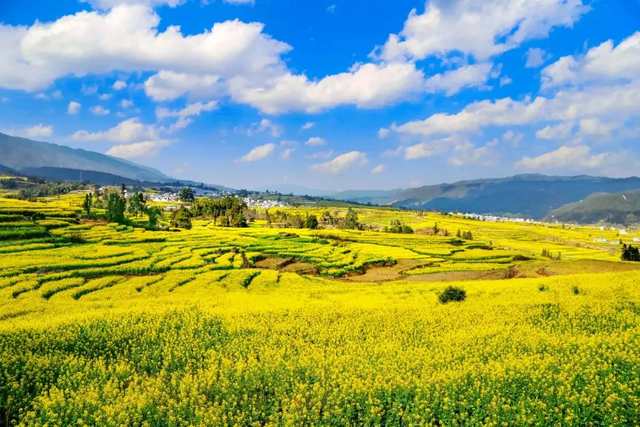 遇见临沧 如回故乡 | 一座开花的城