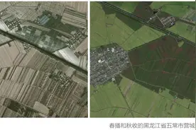 藏粮于技助丰收：我国卫星遥感成农情监测新常态图片