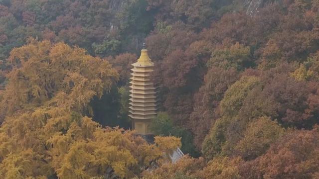 【抓经济 谋发展】渔阳生态公司：丰富文旅供给 打造多元体验