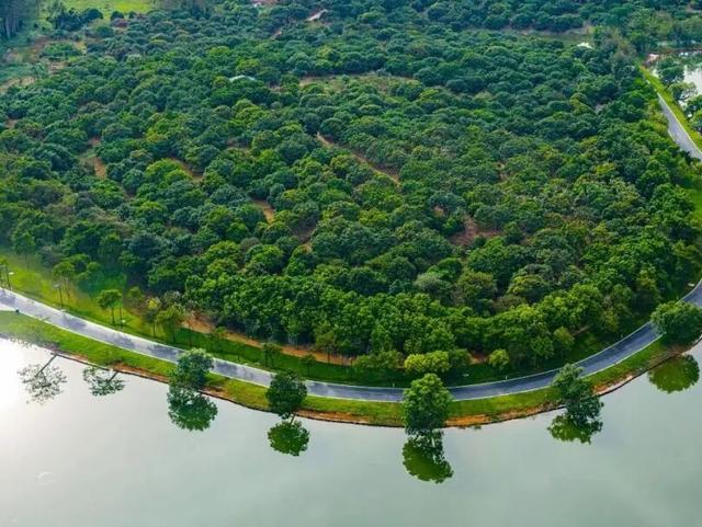 这份松山湖N日游玩法，让我连跑3年松马都不想停→