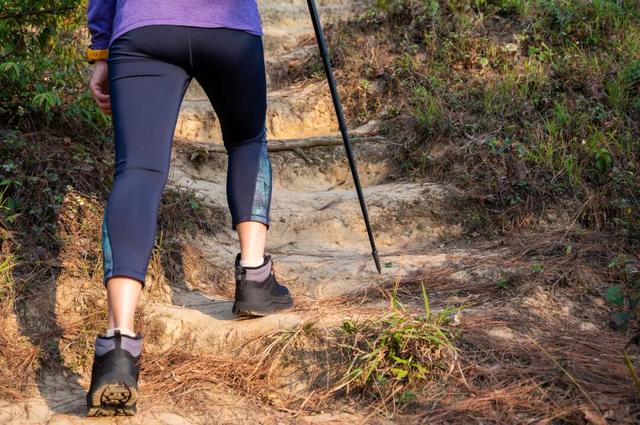 野外找不着“北”？这些户外应急技巧，关键时刻能救命