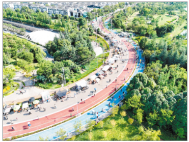 滇岸咖香候鸥来