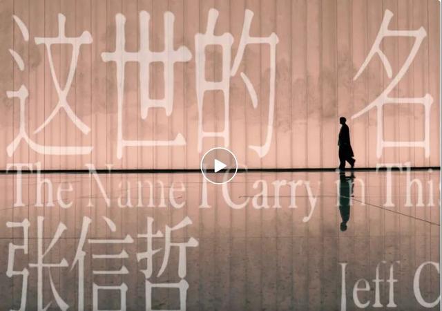 上海这里全是国宝！知名歌手来干了件大事，网友深扒同款：我要去打卡