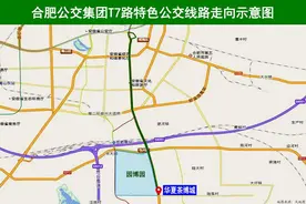 合肥T7路特色公交线11月23日起开行图片