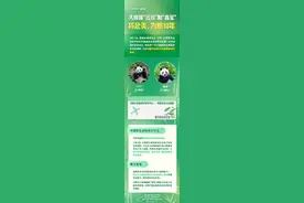 大熊猫云川鑫宝将赴美为期10年图片