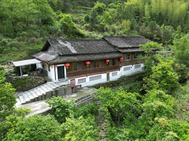 “冷”黄沙如何成为“热饽饽”？