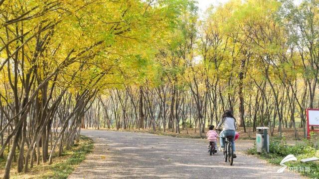 潍坊经济开发区：一场与色彩的浪漫邂逅