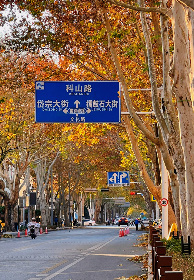 冬日到泰安文化路来一场Citywalk，只走一趟就沦陷