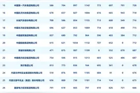 中国企业新媒体指数月度发布（2024年5月）图片