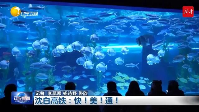 穿山越岭皆成韵，窗外山河次第开