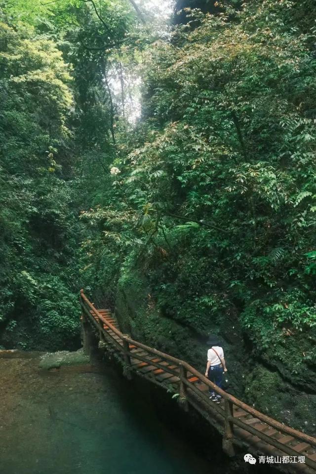 离开浪浪山，趁着周末正好到成都的山里来浪一浪！