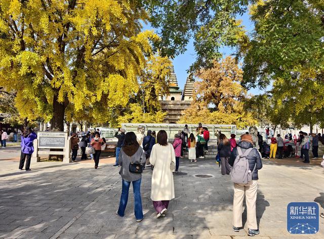 北京：五塔寺秋色浓