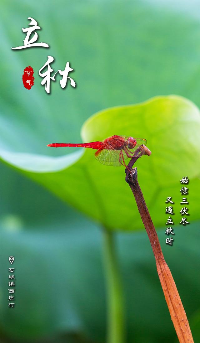 崇阳：云天收夏色 木叶动秋声