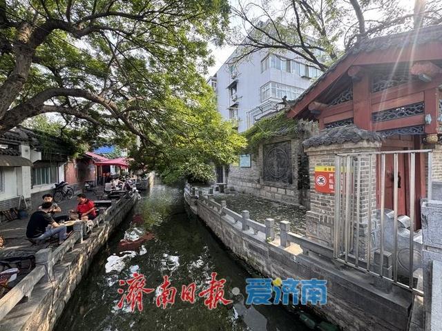 一年四季 泉在济南丨初秋于家桥：绘就济南诗意画卷
