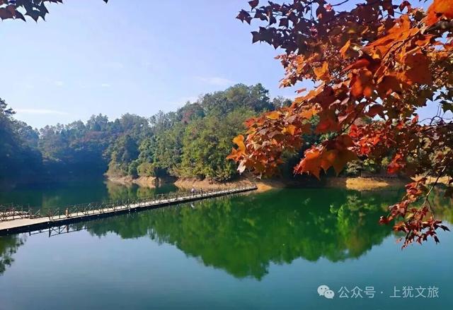 阳明湖最新“枫”情预告