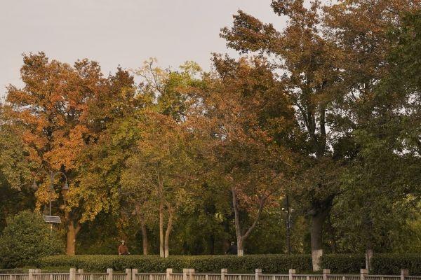 活力满满的东湖绿道