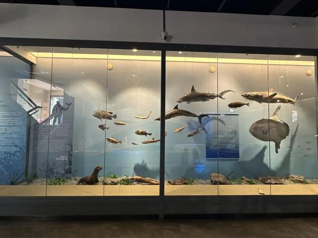 中国第一座公共博物馆120周年！系列重磅活动开启！