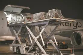 大熊猫“谊谊”和“升谊”从马来西亚回国图片