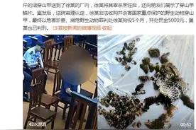 此种面子要不得！男子为要面子聚餐食用穿山甲获刑图片