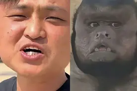 网红“狗王”撞脸合肥“丑猴”：计划用口技让“丑猴说话”图片