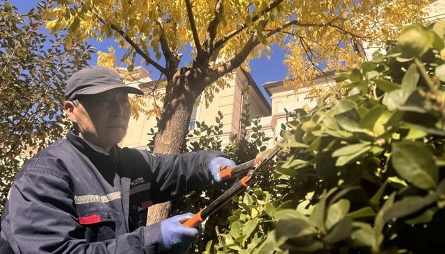 趁秋色浪漫，见一面吧