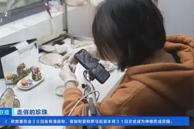外籍主播“直播开蚌”！浙江诸暨发力跨境电商，产品远销日本、美国→图片
