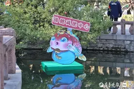 趵突泉锦鲤“身材管理”提上日程，景区：欢迎来“检验成果”图片