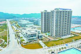 江门新会：锻造千亿新起点上的“新”力量图片