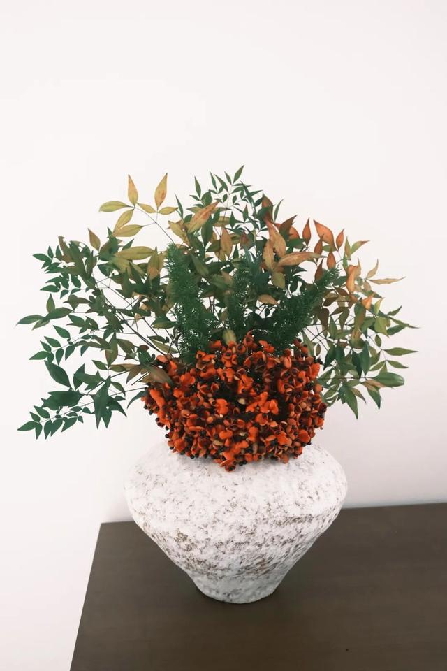 安纳班纳·泰宁 | 在时间的褶皱里，呼吸一场丹霞旧梦