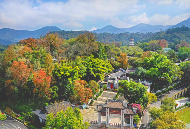跟着“十五运”游云浮，禅韵秘境特色旅游线路等你体验！