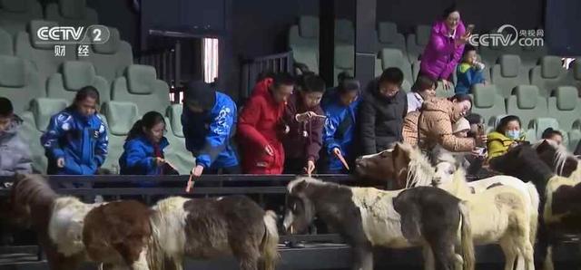 各地冬日文旅融合“多点开花” 消费“旺”势十足