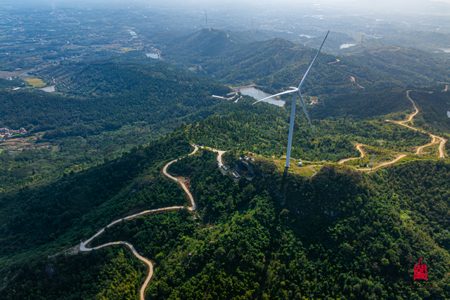 想追风，去团风！