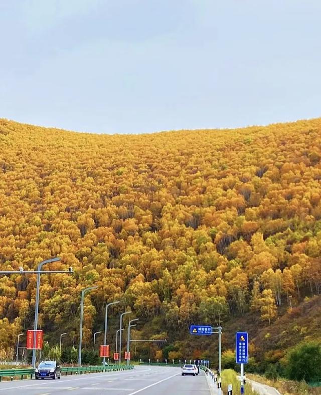 秋游张家口·国庆嘉年华|秋季必游打卡地推荐（一）