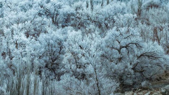新疆托克逊县天山红河谷现雾凇景观 玉树琼枝映赤壁