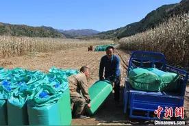 （乡村行·看振兴）山西五台：农业循环经济里的生态“致富经”图片