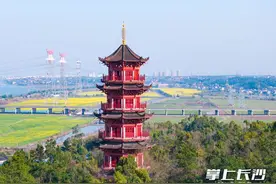 图视汇｜走进铜官窑古镇，邂逅千亩油菜花海图片