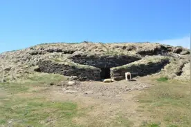 古代欧洲人吃什么？最新研究称海藻和水生植物或是重要食物来源图片