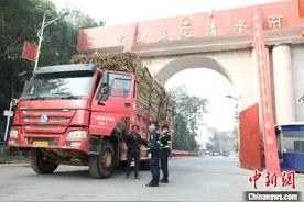 2024年榨季清水河边检站已保障10万余吨甘蔗入境图片