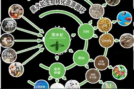 浙江首家黑水虻“超级”车间：日处置易腐垃圾破百吨图片
